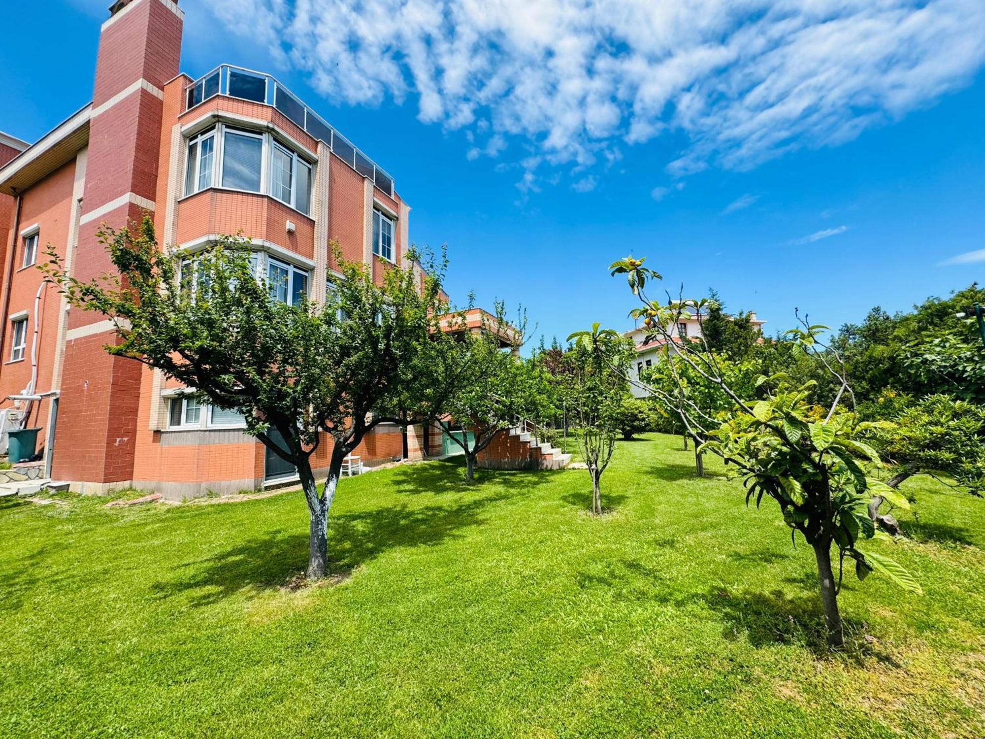 Istanbul Airport Treekos Suite Hotel Karaburun  Eksteriør billede